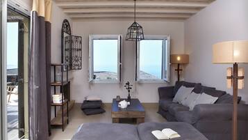 TV, fireplace, DVD player, books