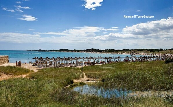 Plage à proximité, chaises longues