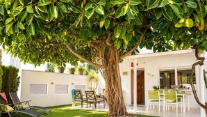 Un patio arbolado con zona de comedor y cocina exterior techada.