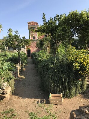 Parco della struttura