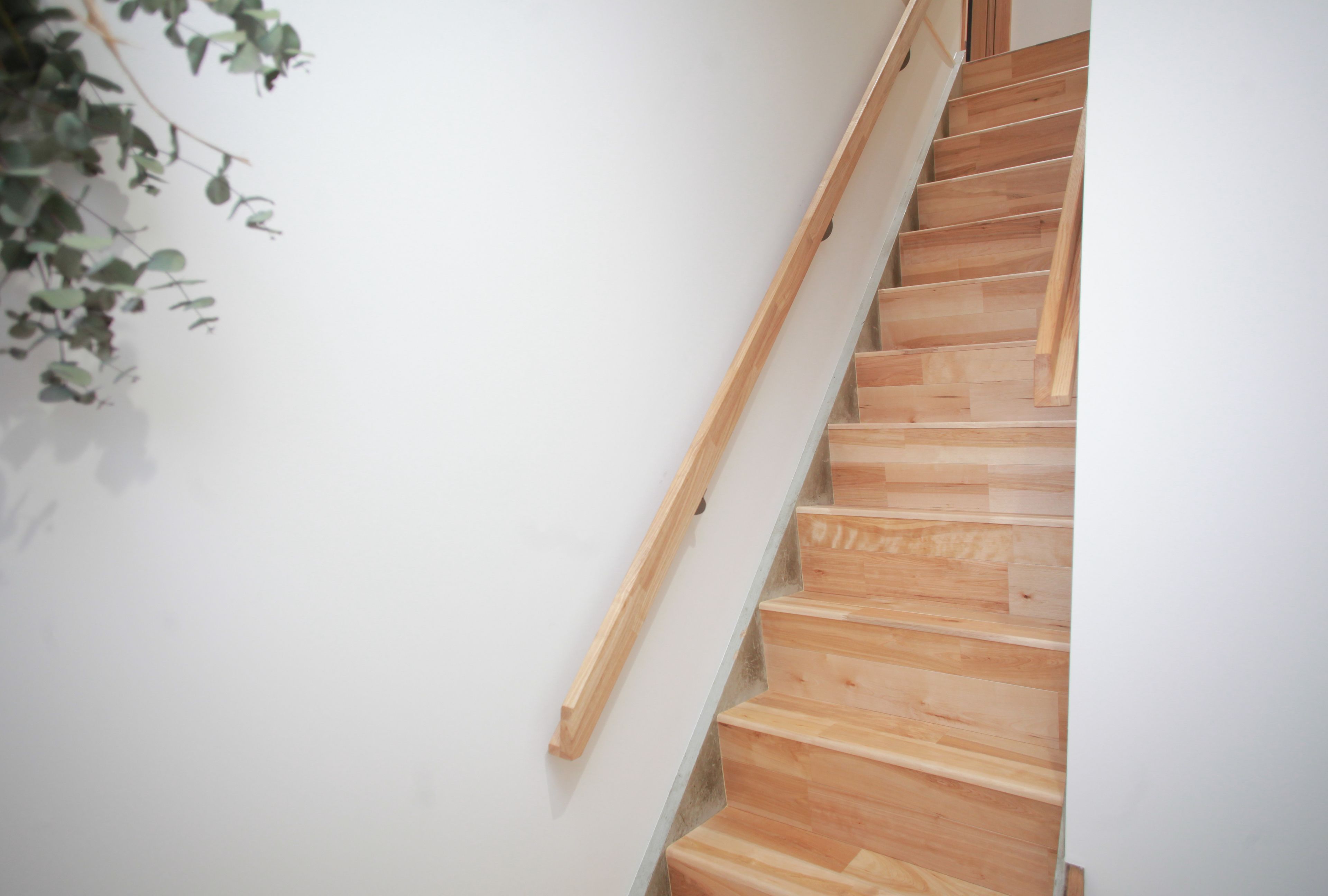 Una escalera de madera con barandilla, paredes blancas y una planta a la izquierda.