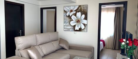 TV connectée, lecteur de DVD, livres