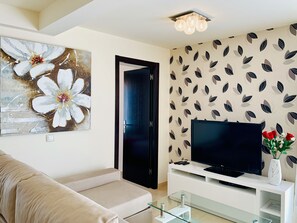 Smart TV, DVD player, books