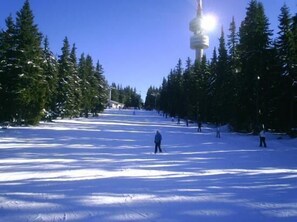 Deportes de invierno y ski