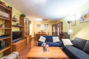 Smart-tv, een dvd-speler, boeken en een computerscherm