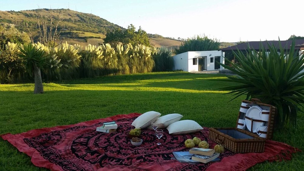 Hacienda Santa Lucía by null