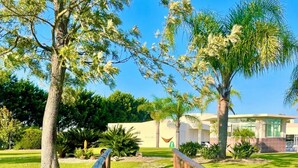 A wooden boardwalk leading to a building with a white facade and large windows, surrounded by trees and grass. - 2 POOLS, FOOTBALL PITCH, TENNIS COURT, CINEMA, GYM, BAR, PRIVATE CHEF, SUNSETS (Poceirão)