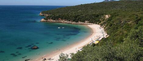 Tumbonas y toallas de playa