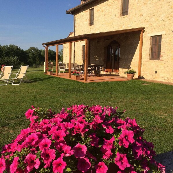 Terrasse/patio