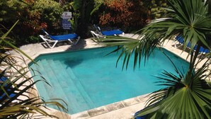 A rectangular pool with clear blue water, surrounded by lounge chairs and palm trees.