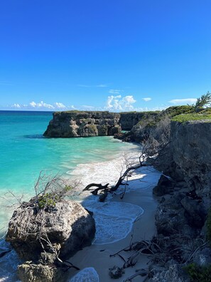Playa en los alrededores, camastros y toallas de playa 