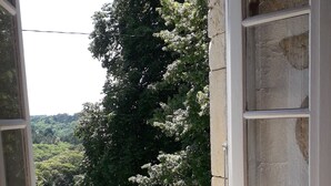 A room with a window overlooking a green landscape and trees.