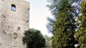 Ein Steinhaus mit einem Fenster und einem Baum im Vordergrund.