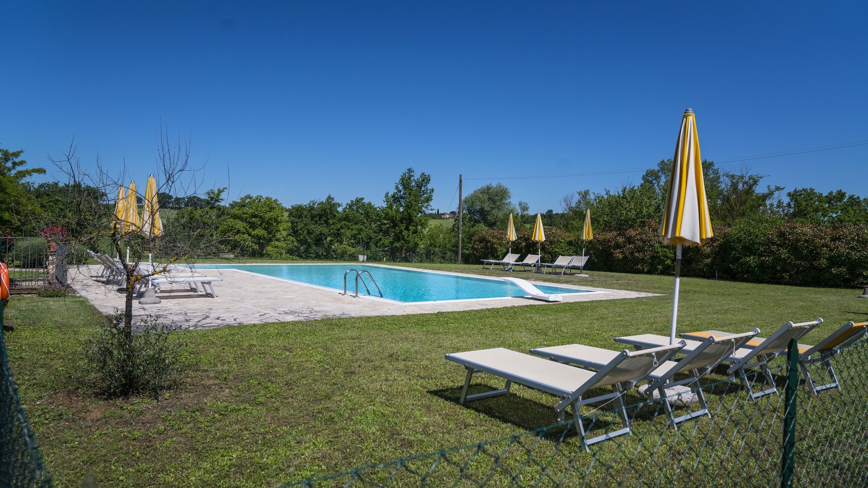 Una piscina con lettini e ombrelloni, immersa in un'area verde alberata.