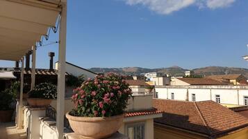 A balcony with potted plants and a view of buildings and hills in the background.