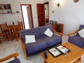 Télévision, cheminée, lecteur de DVD, livres