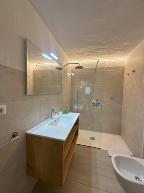 Shower, hair dryer, bidet, towels