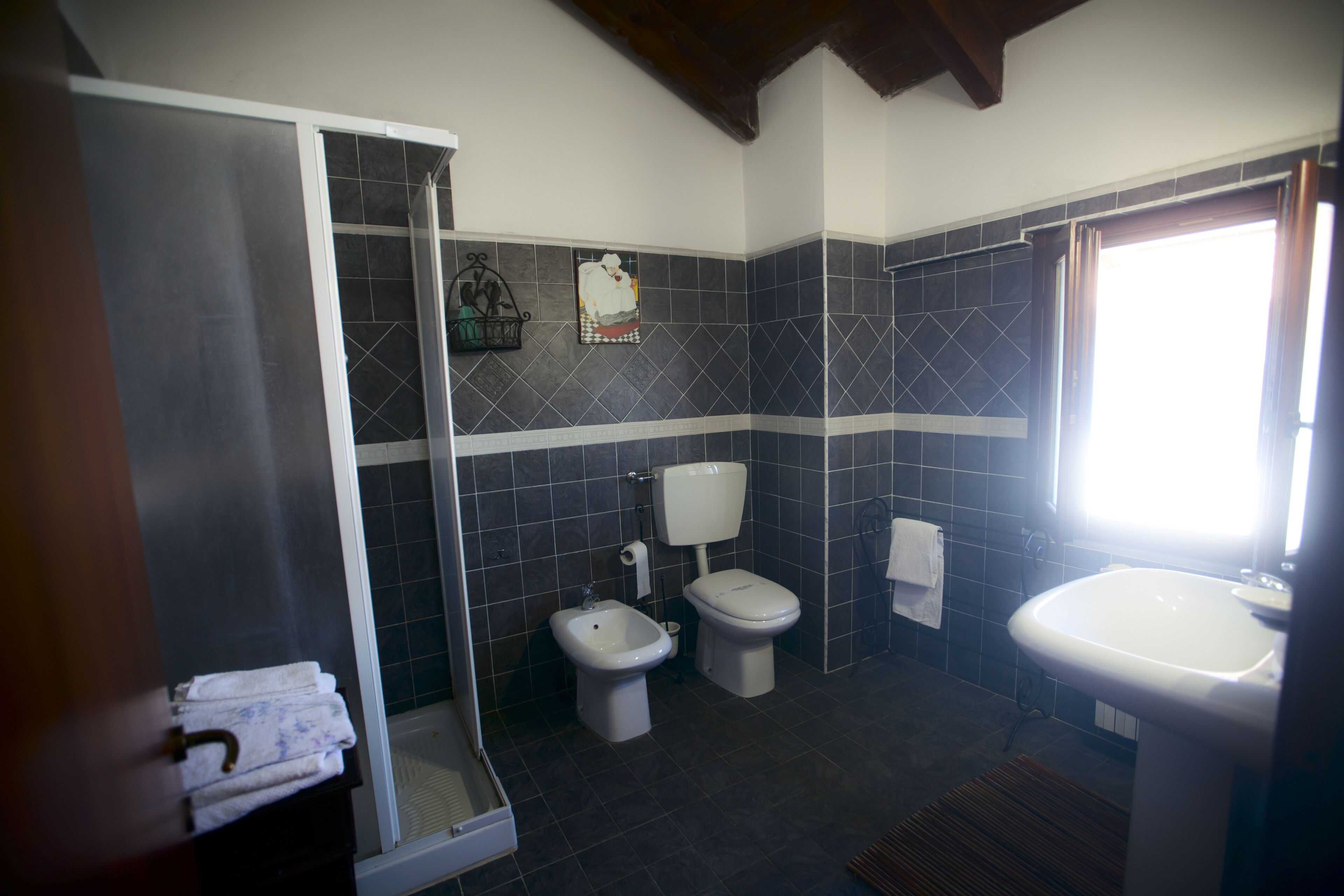 Dusche, Haartrockner, Bidet, Handtücher