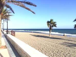 Una spiaggia con un muro di pietra, palme e l'oceano.