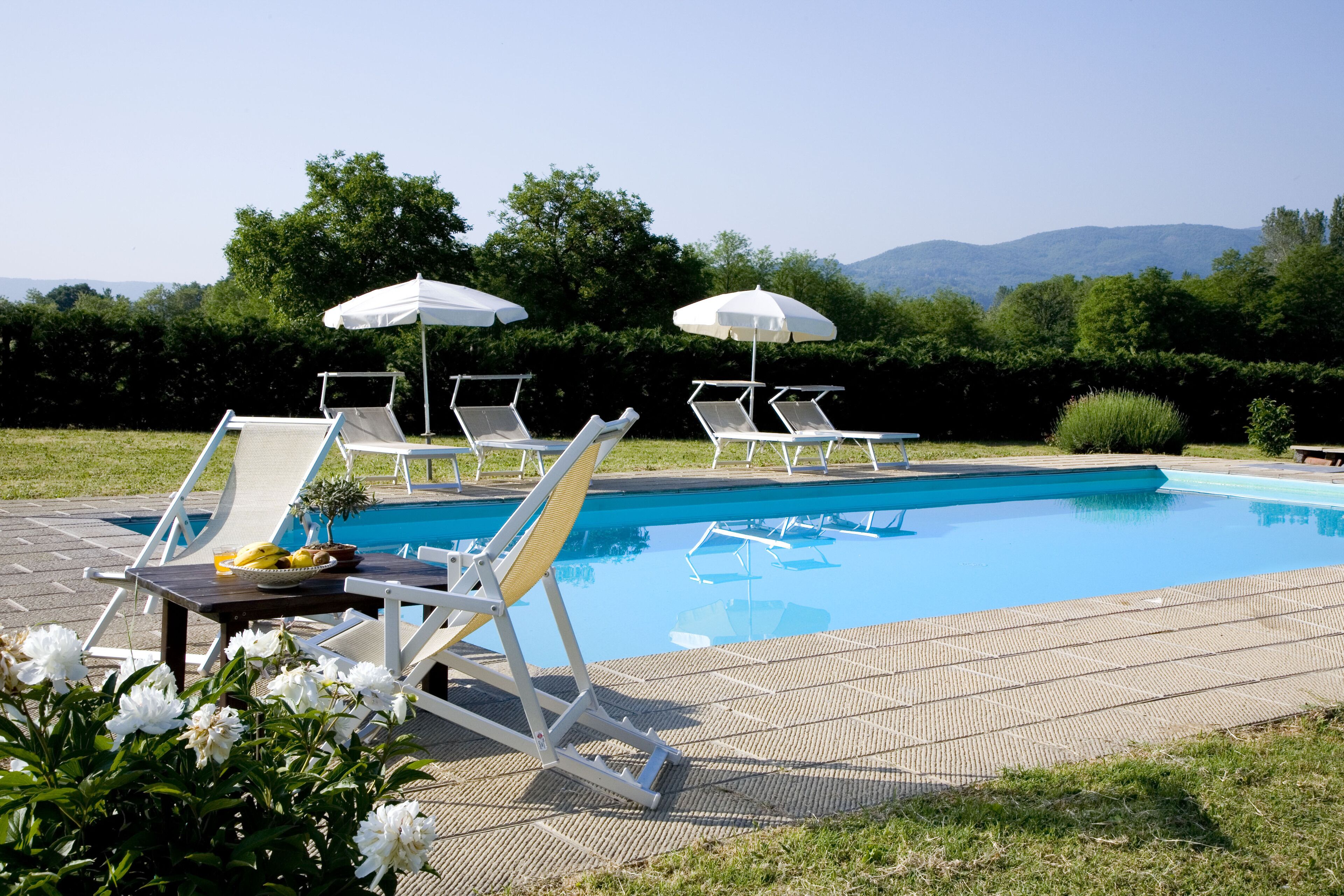 A swimming pool with lounge chairs and umbrellas, surrounded by greenery and mountains in the background.