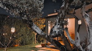 Ein Gartenweg, der zu einem Gebäude führt, mit einem Baum im Vordergrund.