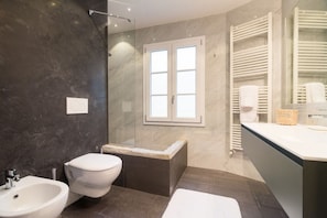 Bañera con ducha, secador de pelo, bidet, toallas