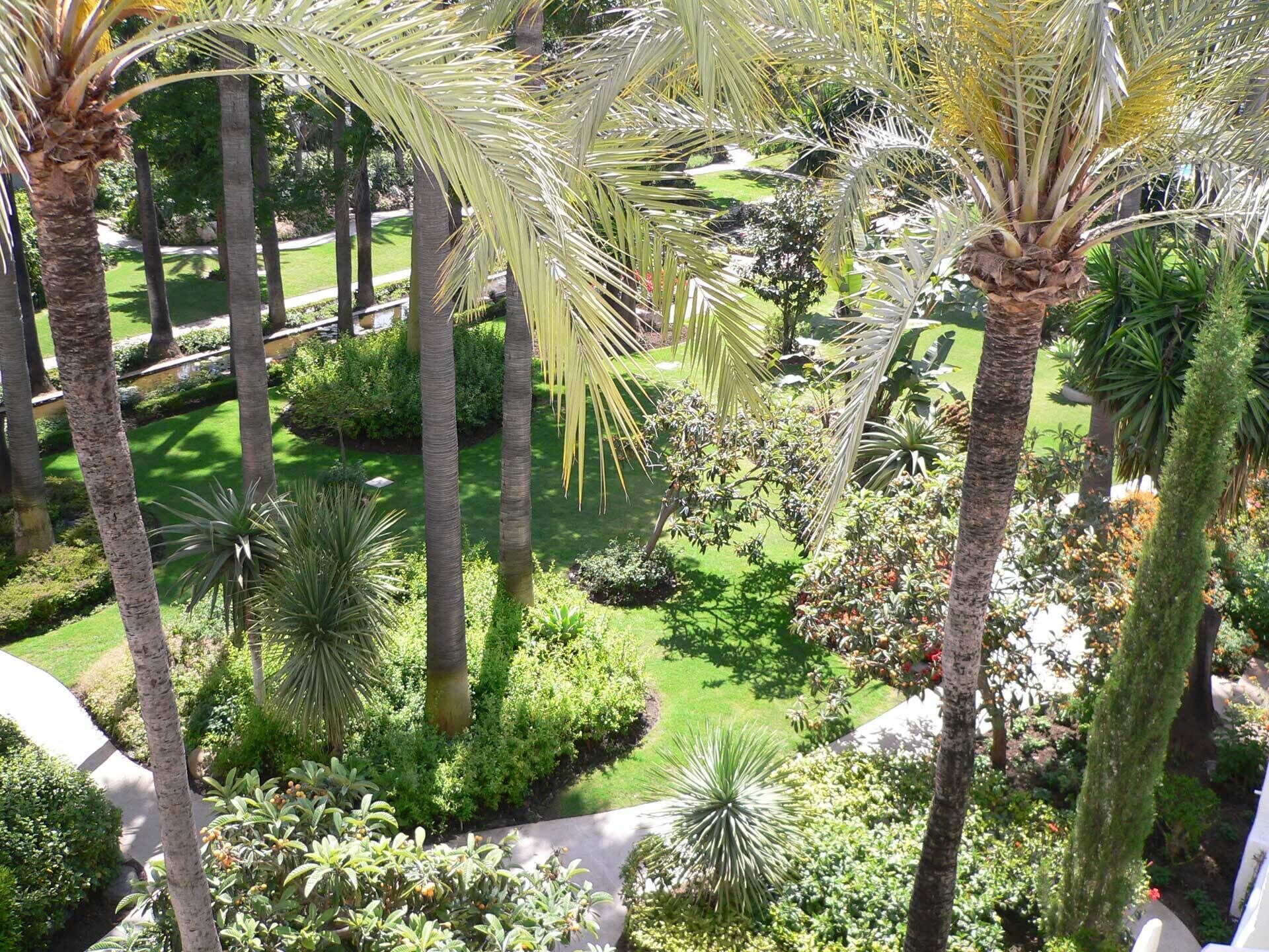 Un jardin luxuriant, agrémenté de grands palmiers et de divers arbustes, entouré d’une pelouse bien entretenue et d’un chemin pavé.