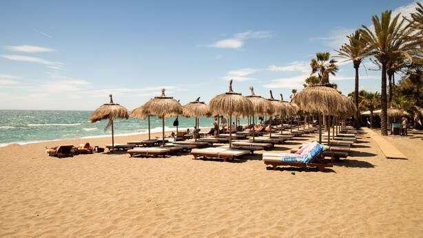 A beach with sun loungers and thatched umbrellas, palm trees, and a clear sky.