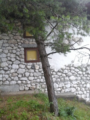 Detalle exterior