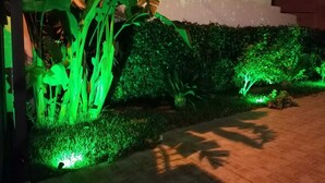 A garden with illuminated plants and a paved walkway.