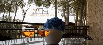 Farmhouse villa with pool and playground - Bellajo Farmhouse 