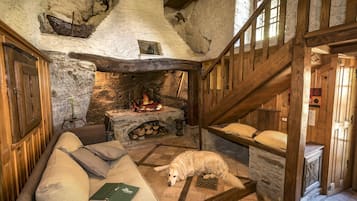 Televisión, chimenea y libros