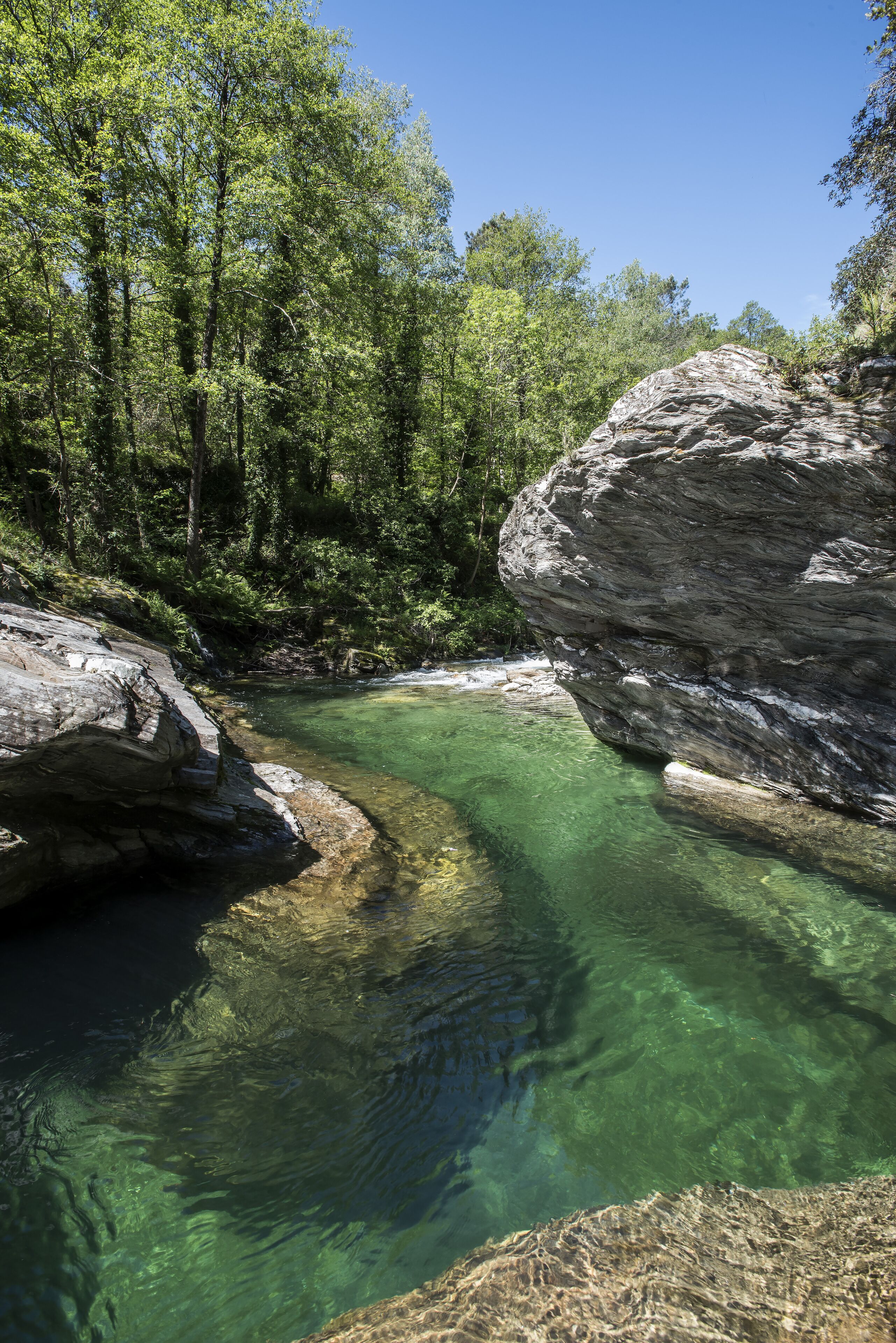A clear, natural water body surrounded by rocky terrain and dense greenery.