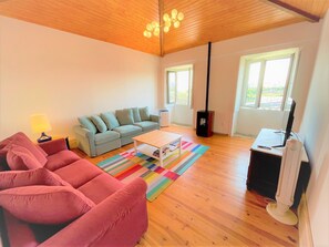 TV connectée, cheminée, lecteur de DVD, livres