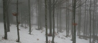 Chalet Il Pettirosso