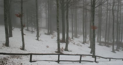 Chalet Il Pettirosso