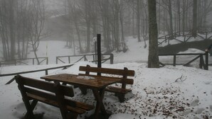 A wooden picnic table and bench set in a snowy park with bare trees and a fence.
