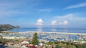 Una marina con numerosas embarcaciones amarradas, un pueblo costero al fondo y un cielo despejado.