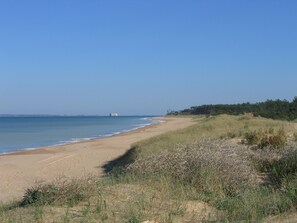 Nära stranden