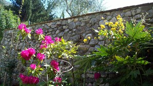 A stone wall with flowering plants, including pink and yellow blooms, and a tree with broad leaves. - VILLA OLIVI. (Nocchi)