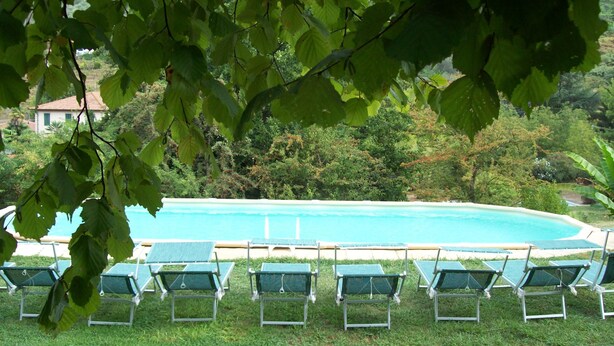 A pool with lounge chairs in a grassy area, surrounded by trees and a building in the background. - VILLA OLIVI. (Nocchi)