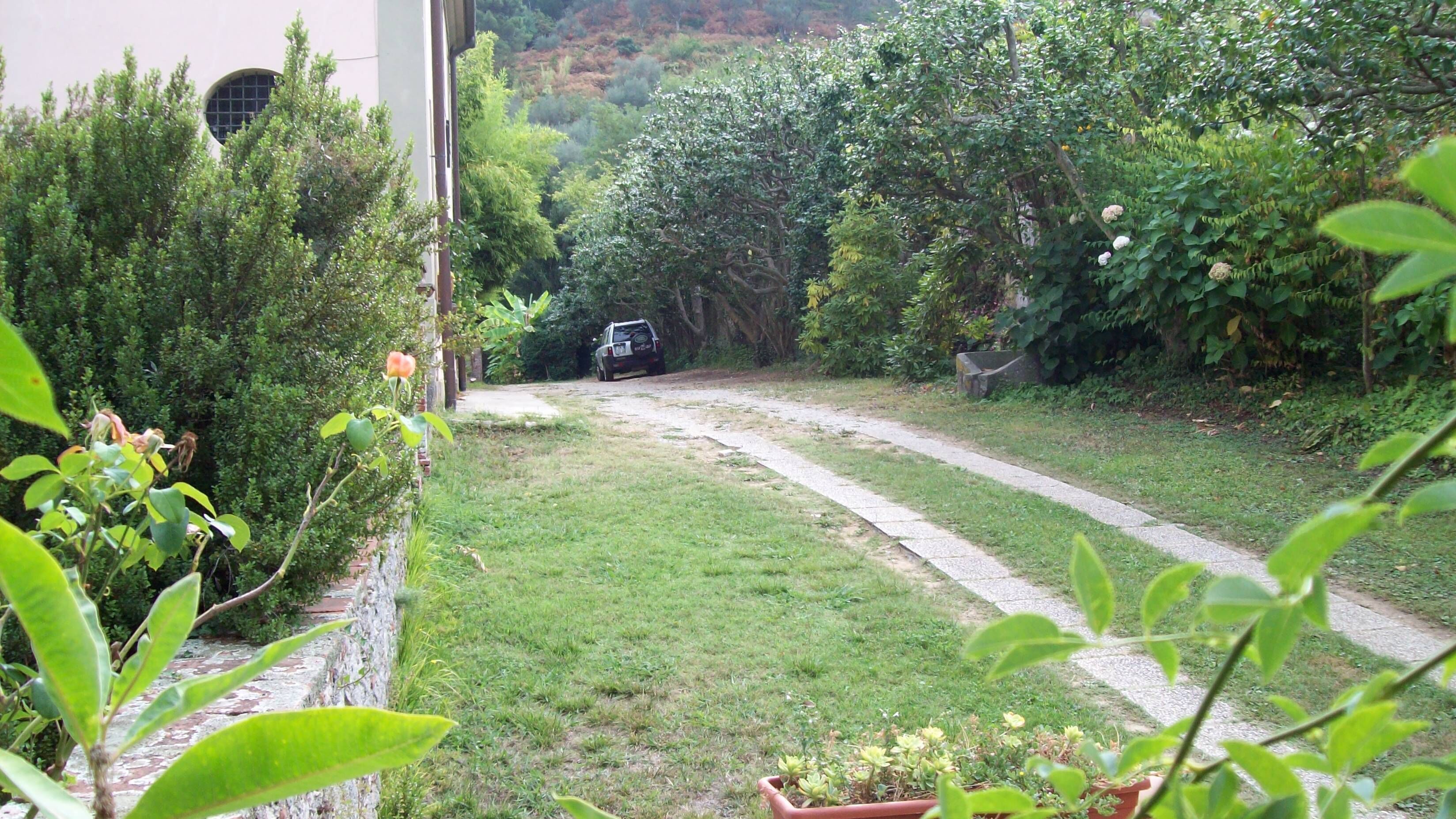 Ein Gartenweg führt zu einem geparkten Auto, umgeben von üppigem Grün und verschiedenen Pflanzen.