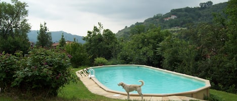 Una piscina rodeada de abundante vegetación y colinas al fondo.