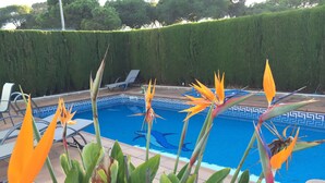 A swimming pool with a decorative tile border, surrounded by lounge chairs and tropical plants. - Semi-detached house in El Portil with private pool, free wifi, AC, BBQ  (El Portil)