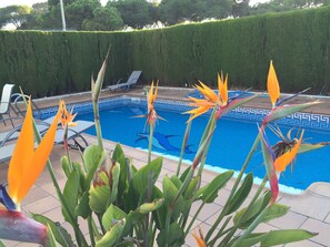 Pool - Semi-detached house in El Portil with private pool, free wifi, AC, BBQ  (El Portil)