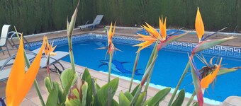 Semi-detached house in El Portil with private pool, free wifi, AC, BBQ 