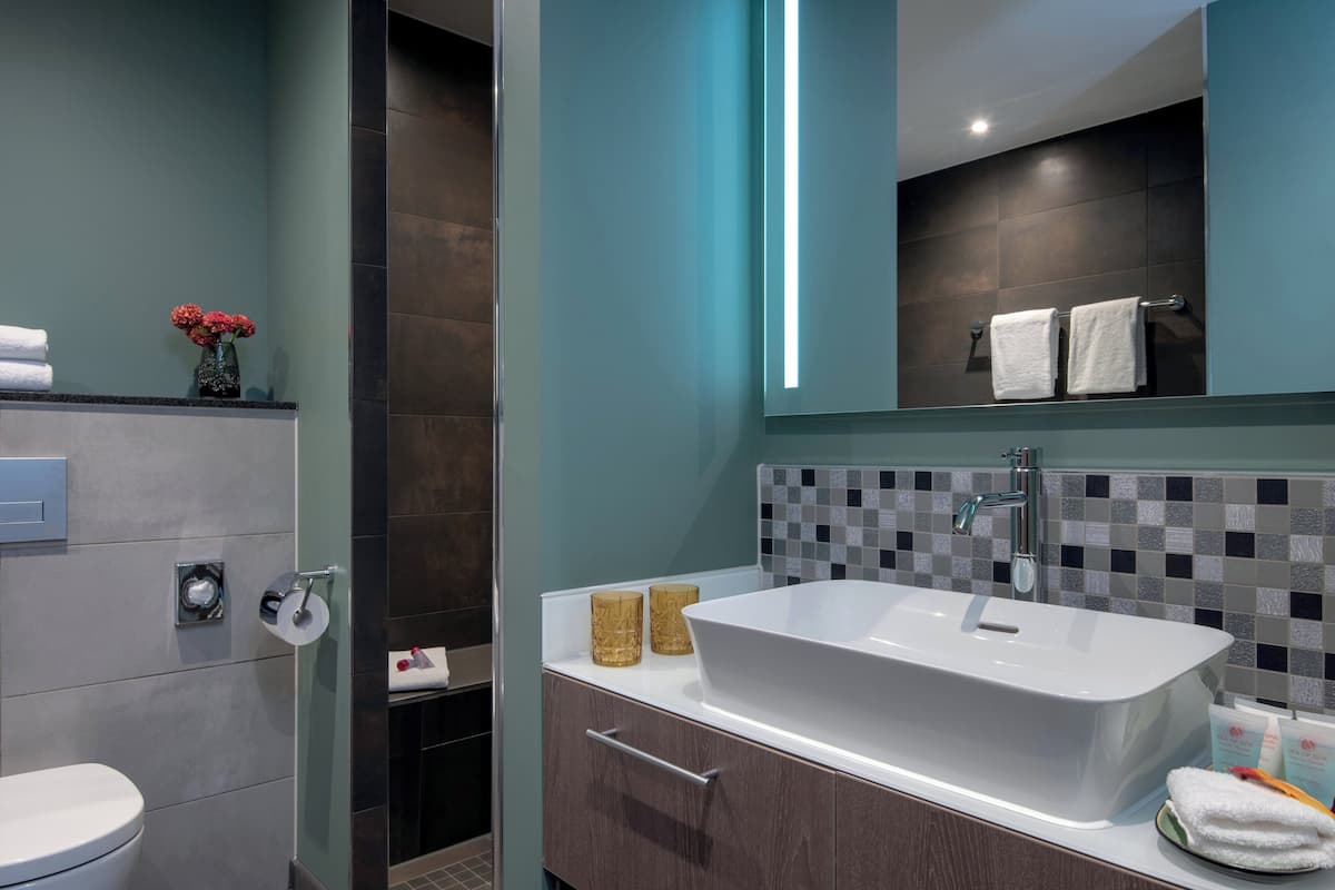 Dusche, Regendusche, Designer-Toilettenartikel, Haartrockner