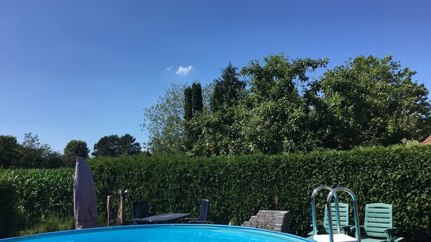 Piscina com escada, espreguiçadeiras e um hedge ao fundo.