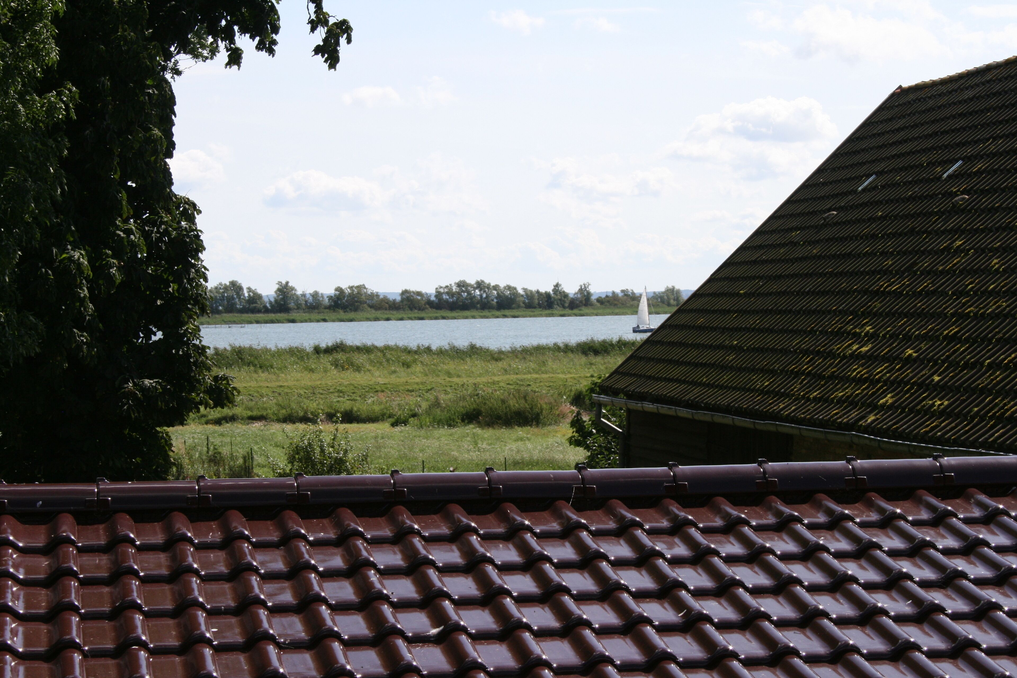 Blick auf einen See mit einem Segelboot, umgeben von viel Grün und einem Gebäude mit einem Ziegeldach.