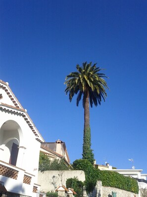 Exterior - Modern design apartment only 150 m away from Palais des Festival (Cannes)